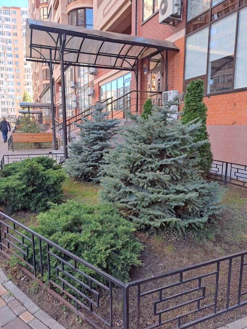 аренда двухкомнатной квартиры номер A-173397 в Приморском районе, фото номер 24